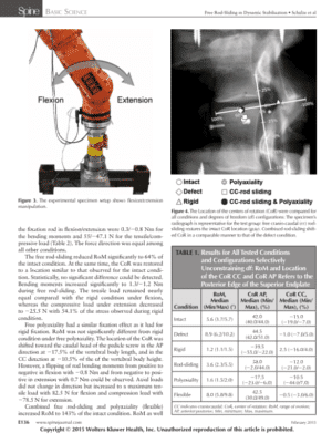 How Does Free Rod-Sliding Affect the Posterior Instrumentation for a Dynamic Stabilization Using a Bovine Calf Model?